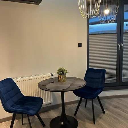 Beautiful And Modern Apartment- Garage- Wislane Tarasy Διαμέρισμα *