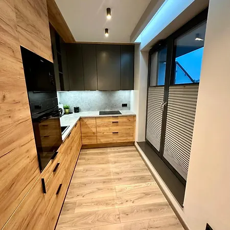 Beautiful Apartment- Free Garage- Wislane Tarasy