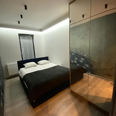 Beautiful Apartment- Free Garage- Wislane Tarasy Apartment *