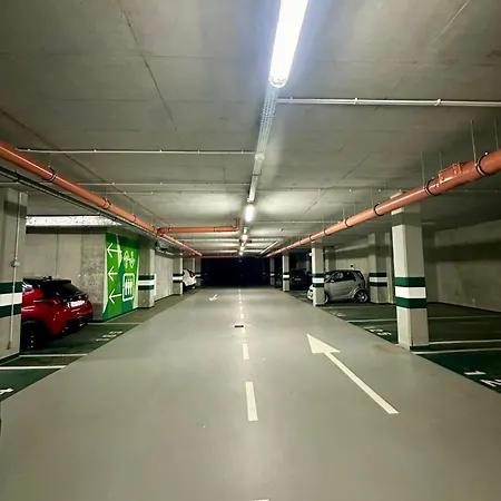 Beautiful Apartment- Free Garage- Wislane Tarasy